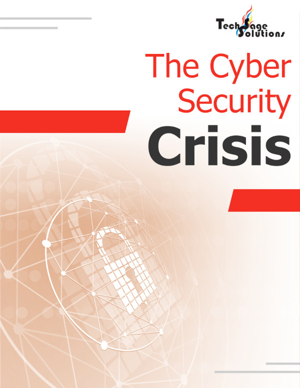 Cyber Security Crisis